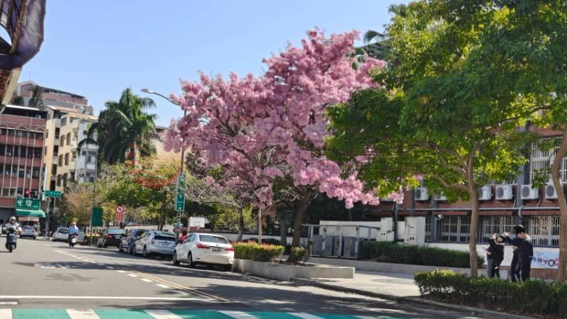 南郭透天第三層出租,彰化縣彰化市介壽北路