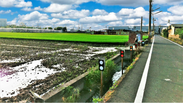 番花美田II,彰化縣花壇鄉花壇段