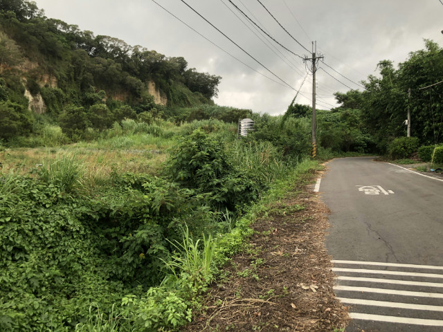 74旁漂亮美田,彰化縣花壇鄉灣東段