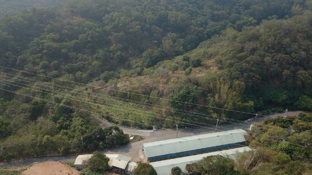 新興路林地,彰化縣芬園鄉新興路一段