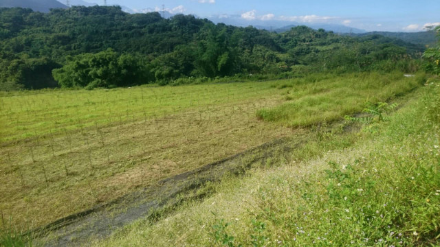 南投中寮農牧用地,南投縣中寮鄉內城巷