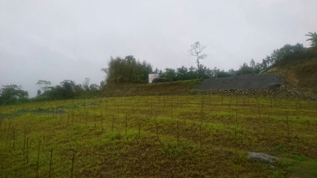 南投中寮農牧用地,南投縣中寮鄉內城巷