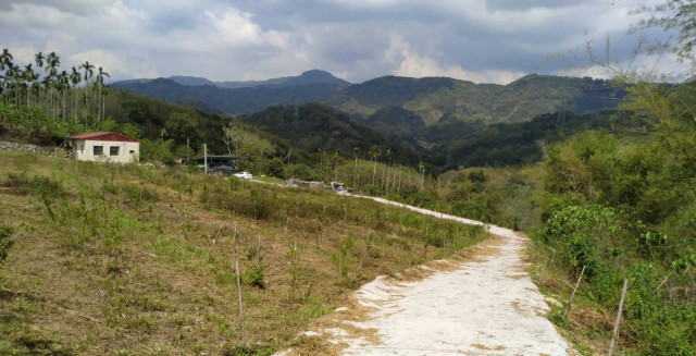 南投中寮農牧用地,南投縣中寮鄉內城巷