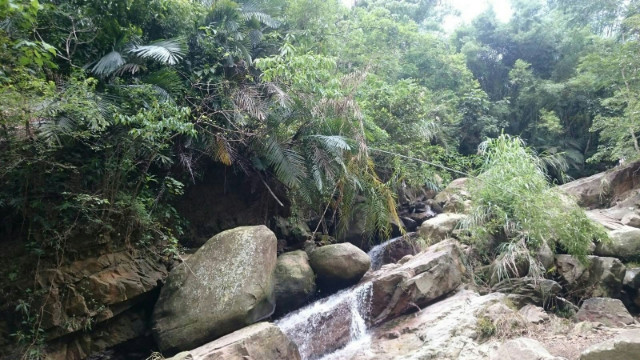 南投中寮先驅段農牧用地,南投縣中寮鄉永樂路