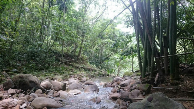 南投中寮先驅段農牧用地,南投縣中寮鄉永樂路