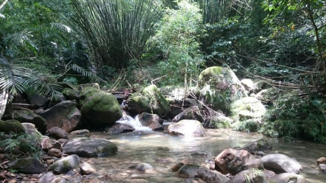 南投中寮先驅段農牧用地,南投縣中寮鄉永樂路