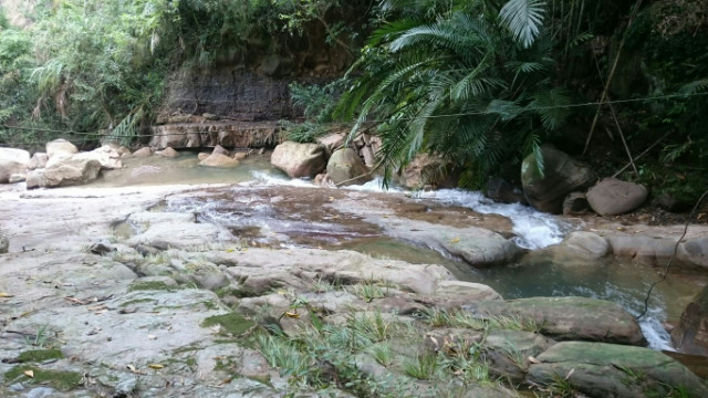南投中寮先驅段農牧用地,南投縣中寮鄉永樂路