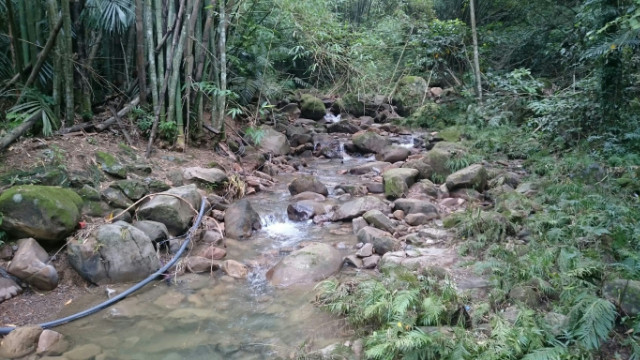 南投中寮先驅段農牧用地,南投縣中寮鄉永樂路